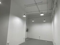 Ascent @ 456 (D12), Shop House #564567791